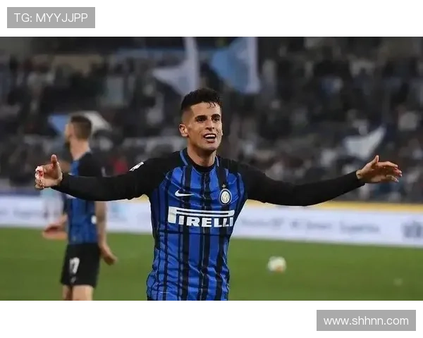 坎塞洛战术适配性